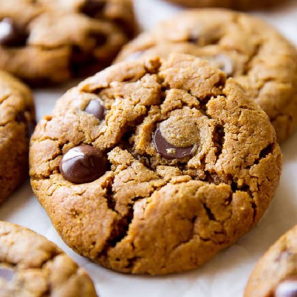 close up of a cookie with chocolate chips