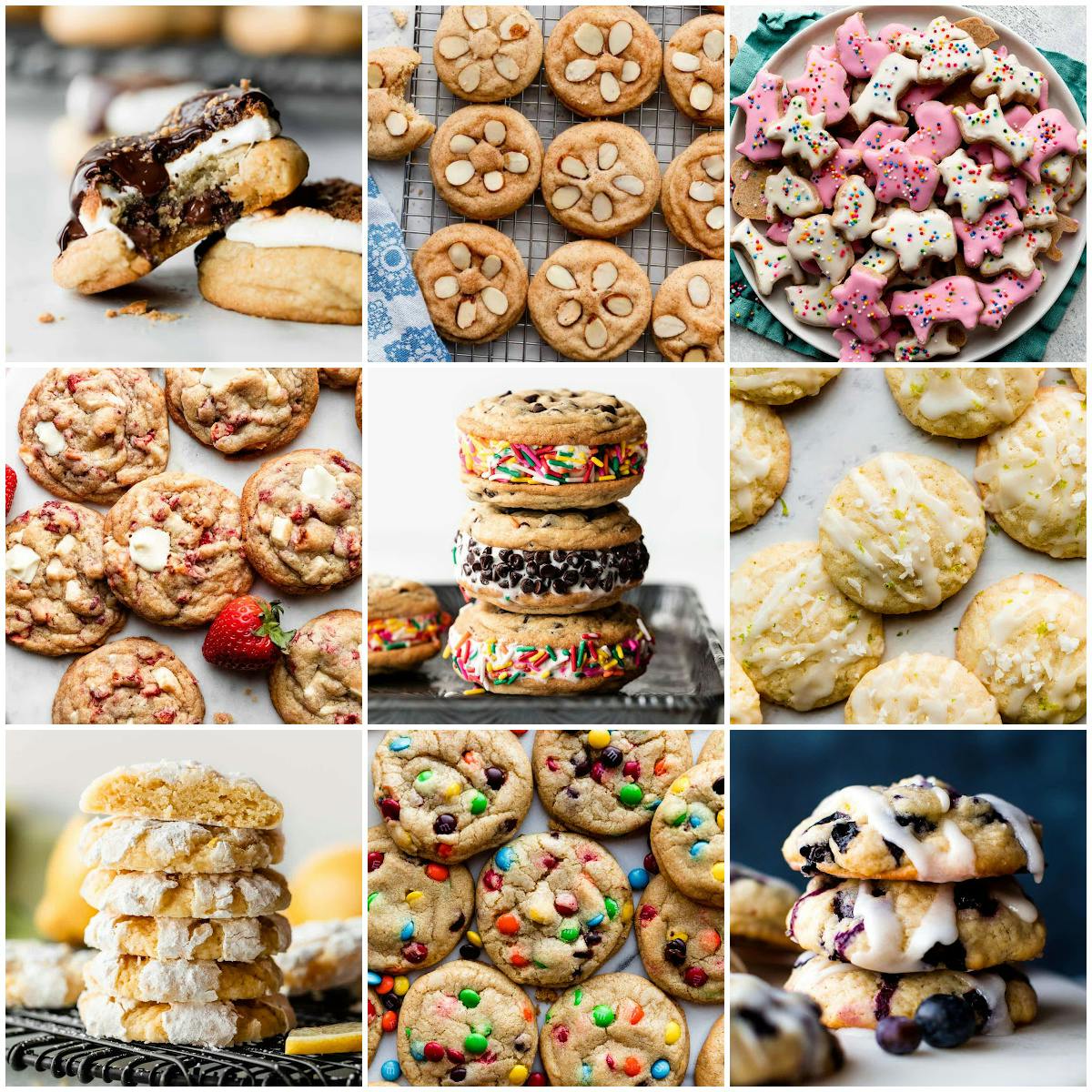 Collage of 9 summer cookie recipe photos