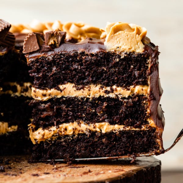 chocolate peanut butter cake