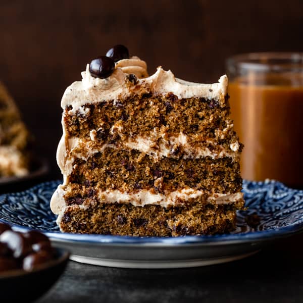 picture of a slice of Espresso Chocolate Chip Cake