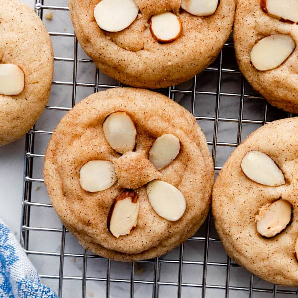 sand dollar looking cookies