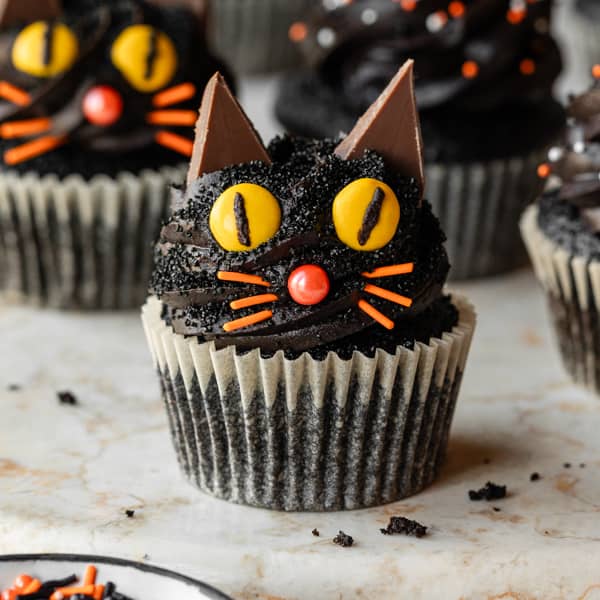 cat cupcake