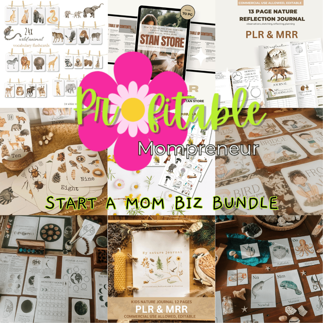 START A MOM BIZ BUNDLE MRR/PLR DIGITAL PRODUCT SALES