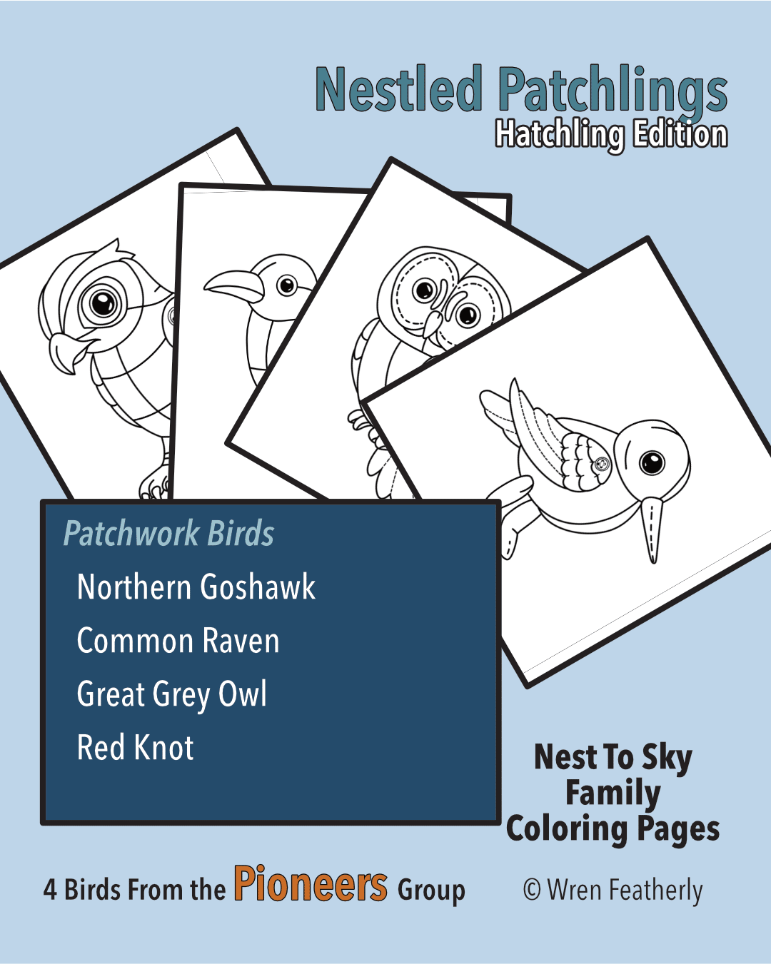 4 Sample Coloring Pages in Black and White for the Nestled Patchlings Pioneers (Patchwork Birds) Coloring Book - Northern Goshawk, Red Knot, Great Grey Owl, and Common Raven