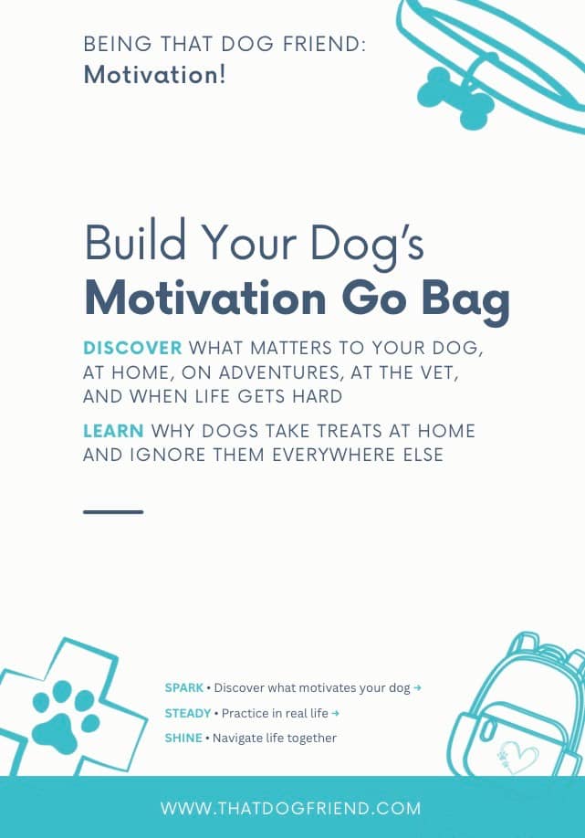 Preview of the free Motivation Go Bag worksheet from That Dog Friend