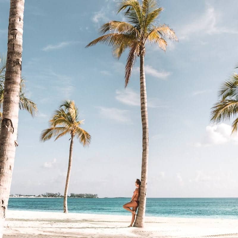 woman leaning on tree near beach