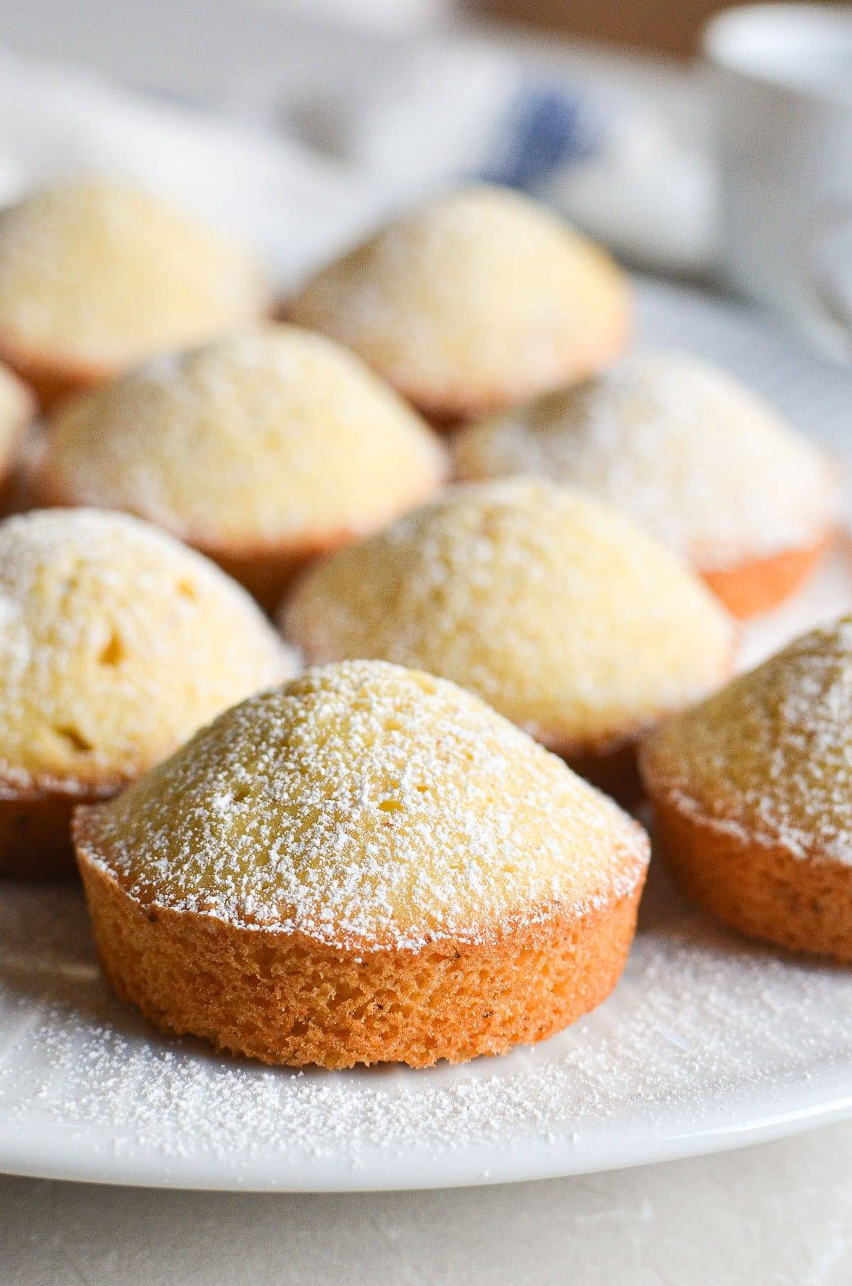 Madeleine Muffins!