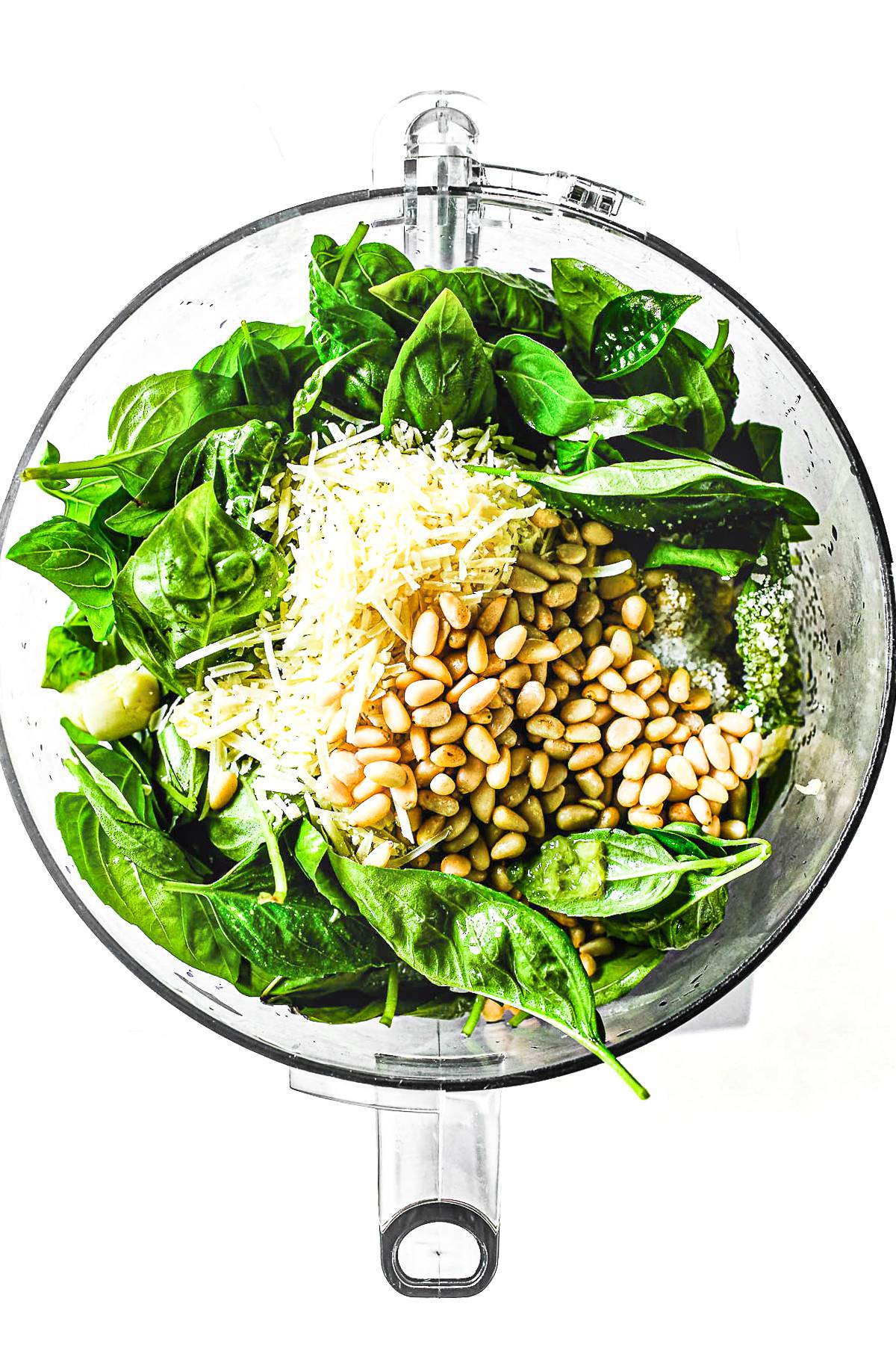 basil for pesto