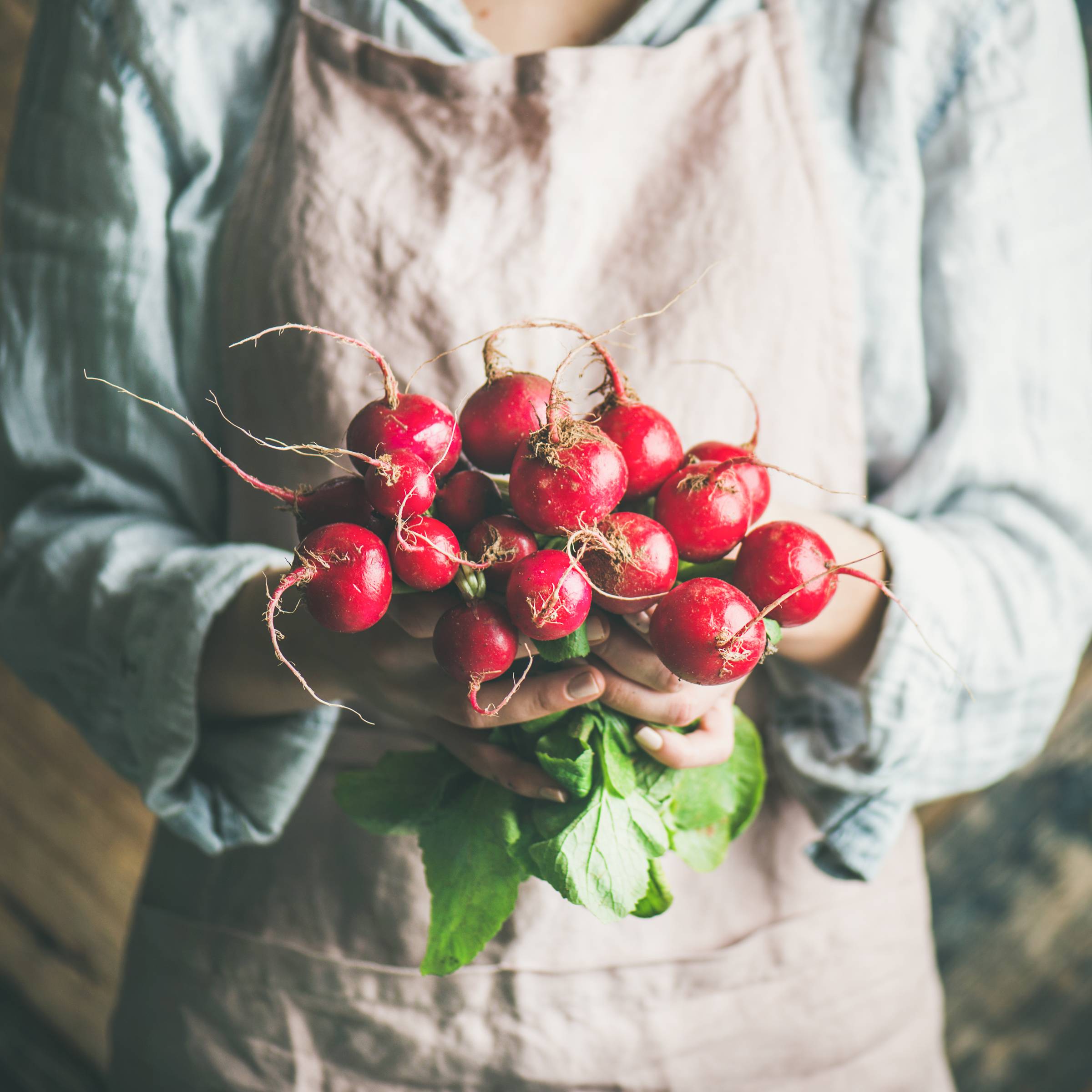 Farmers market radishes