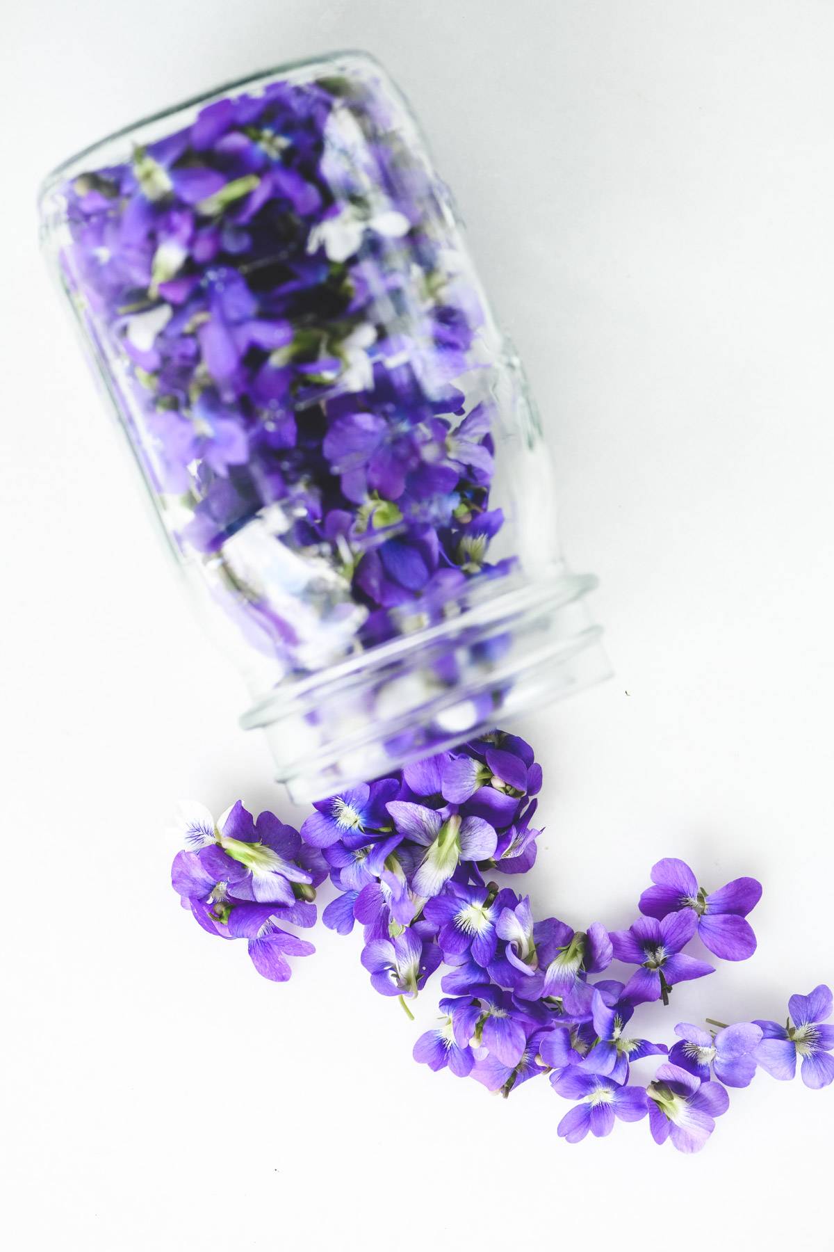 edible spring flowers