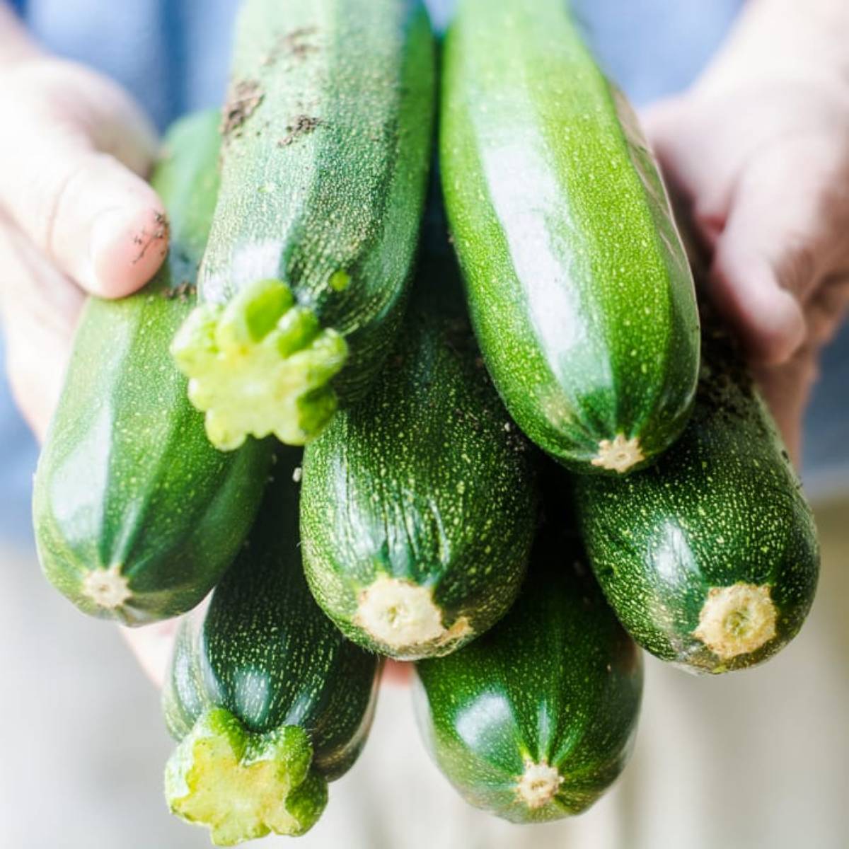 Summer garden recipes
