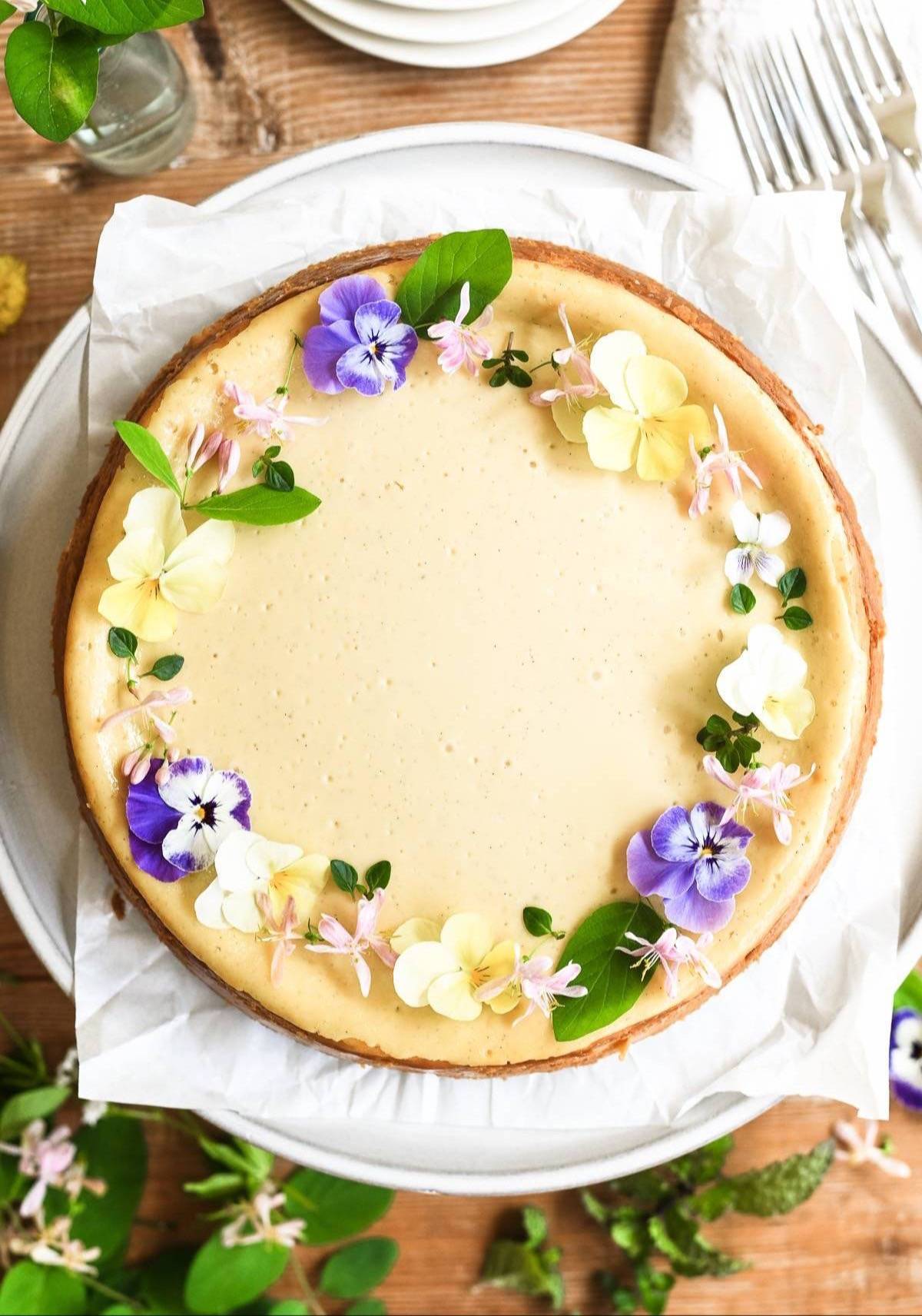 spring vanilla bean cheesecake
