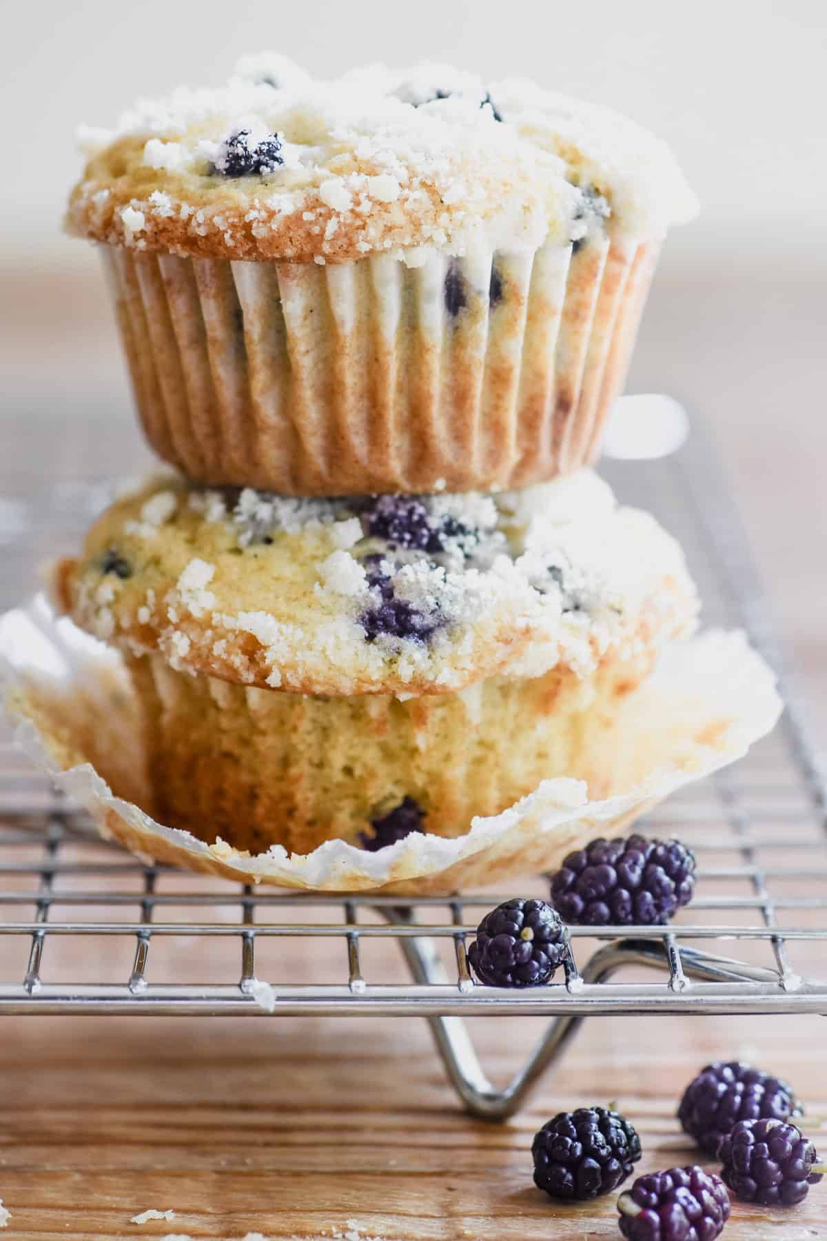 Mulberry muffins