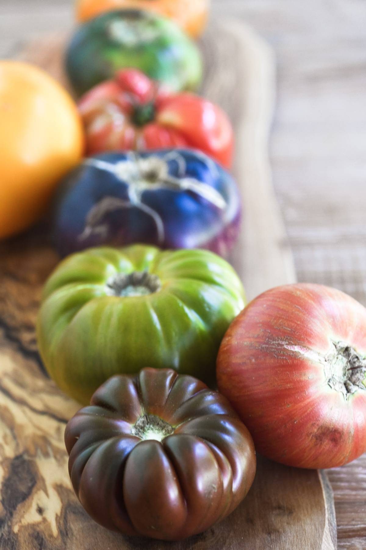 Summer tomato salads