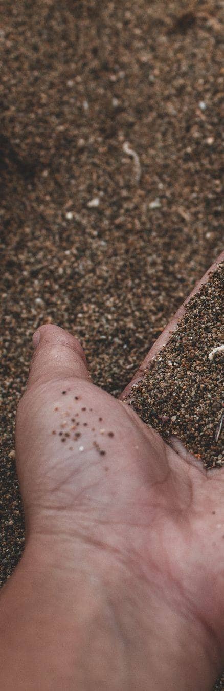 A striped fish swims over coral reef underwater.