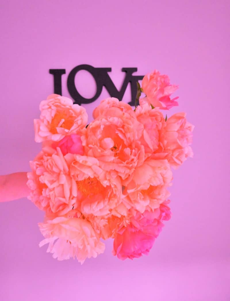 Pink flowers are held in front of "love" sign.