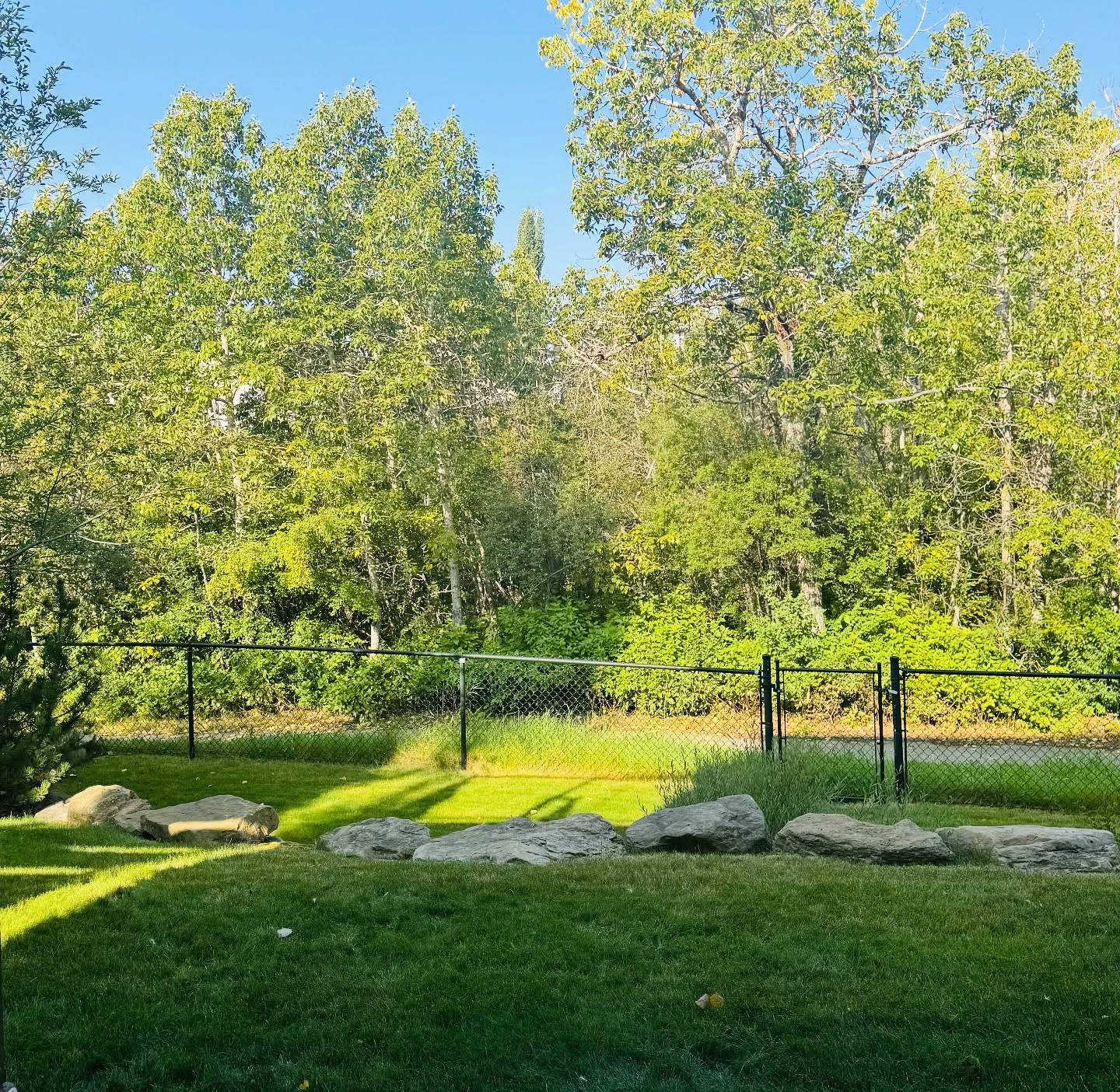 I spent the day touring some homes in Tuscany, and I have to say the backyards completely stole the show! 🏡

These backyards aren’t just outdoor spaces. They’re private retreats with sweeping views, perfect for morning coffee, family BBQs, or winding down after a busy day. 🌿🍷

Ready to find your perfect backyard before winter? 🔑 Let’s explore your options together! 

Ebru Tutkuner
REALTOR®
Royal LePage Benchmark 

.
.
.

#yycrealtor #calgaryrealtor #yycrealestate #tuscanyrealestate #homewithaview #dreambackyard #tuscanycalgary #calgary #yyc #realtor #turkish
