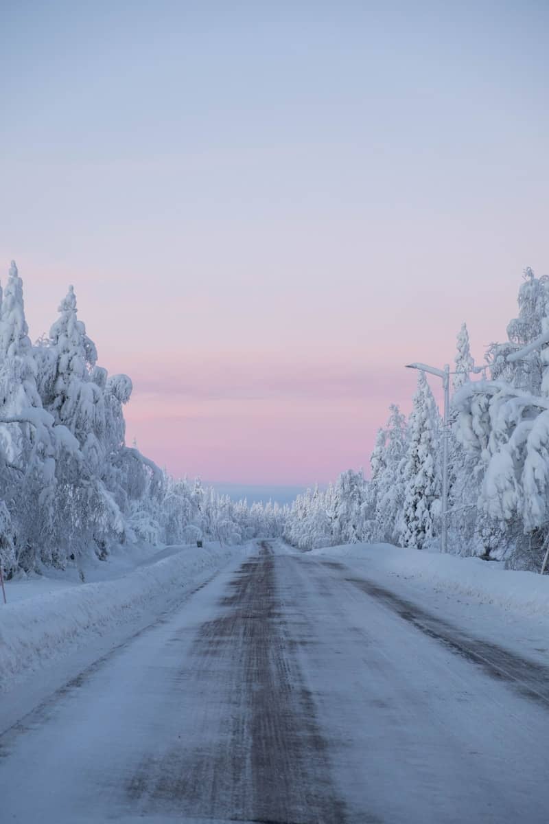 snow covered trees and road during daytime