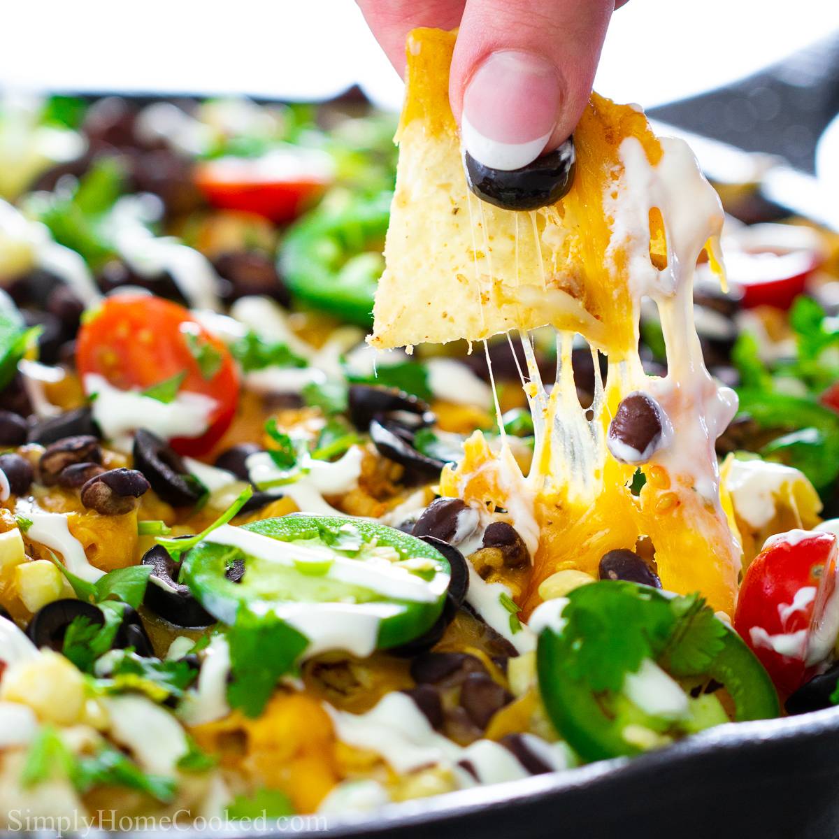 close up image of a hand pulling out a chip from a chicken nachos skillet