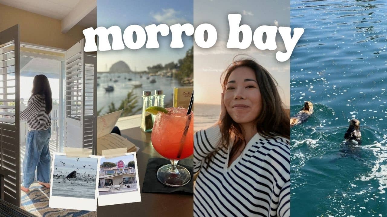 photos from Morro Bay including whale watching, view from hotel room, morro rock and sea otters
