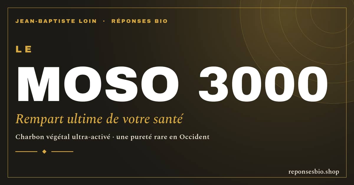 Ce que même les fidèles du Moso 3000 ignorent encore