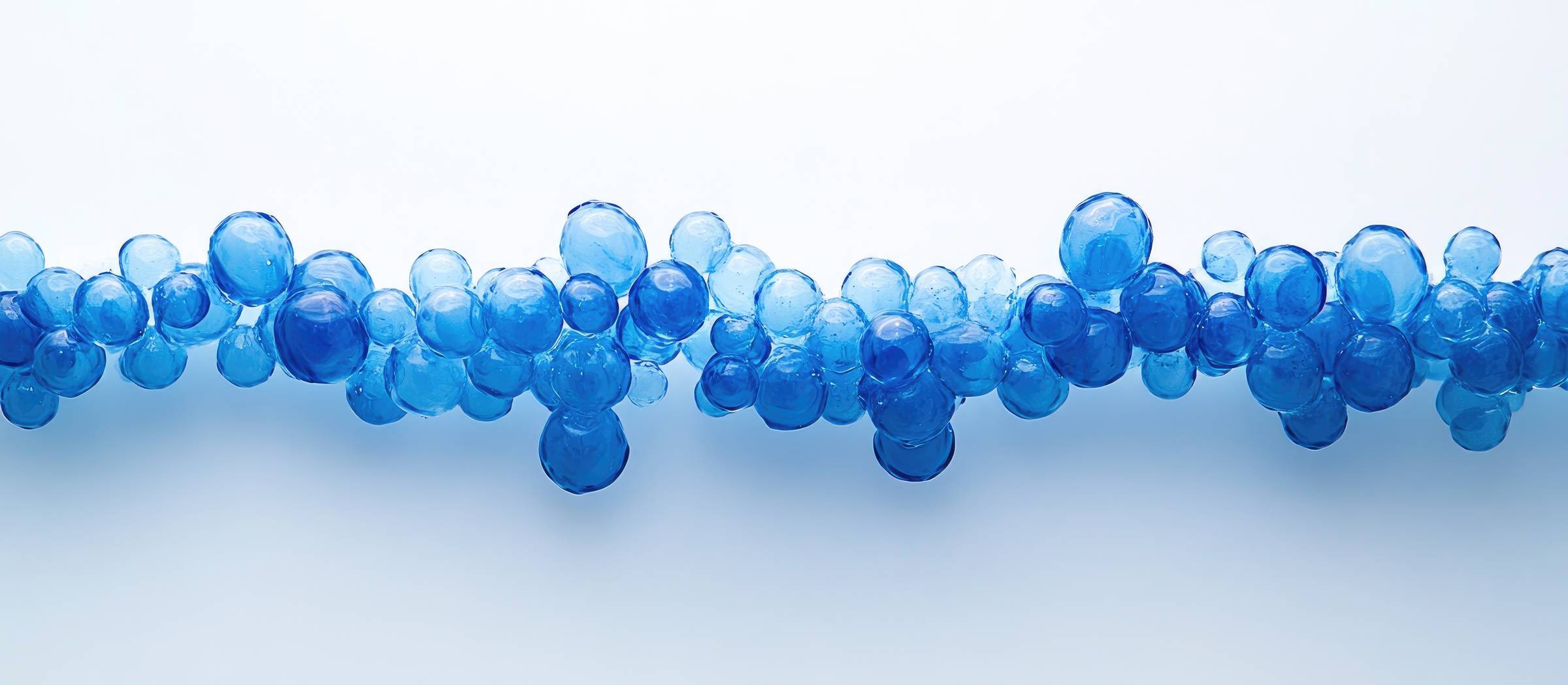 Est-ce lui l’Élixir de longue vie ?