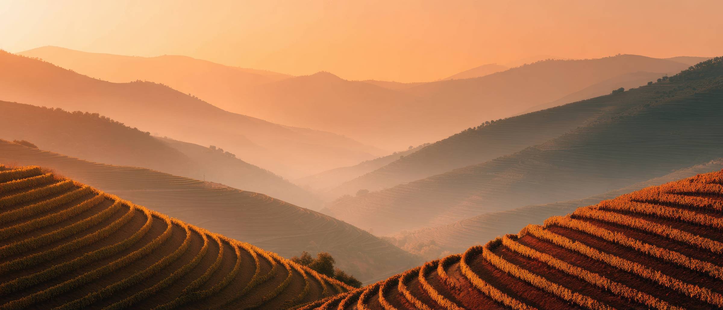 Les éleveurs contre la domination mondiale d’insectes alimentaires, même combat ?