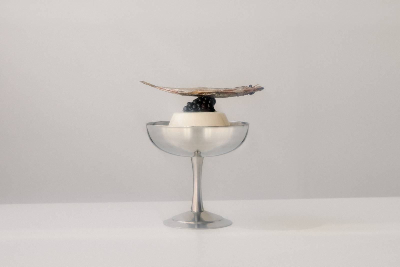 Coupe glass with panna cotta and wafer balancing on a blackberry