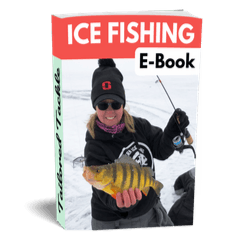 How to read a Flasher Fish Finder - Ice Fishing - Sonar- GetReeled 