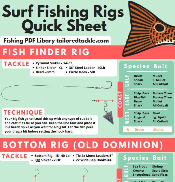 SURF FISHING SETUPS  HOW TO CHOOSE THE RIGHT SALTWATER SETUP - Rods, Reels,  Bait, Hooks, etc 
