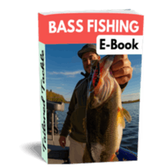 11 Best Lures for Bass Fishing Beginners - Tailored Tackle