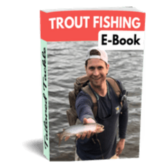 Rainbow Trout Fishing: A Beginner's Guide on Spinning Gear