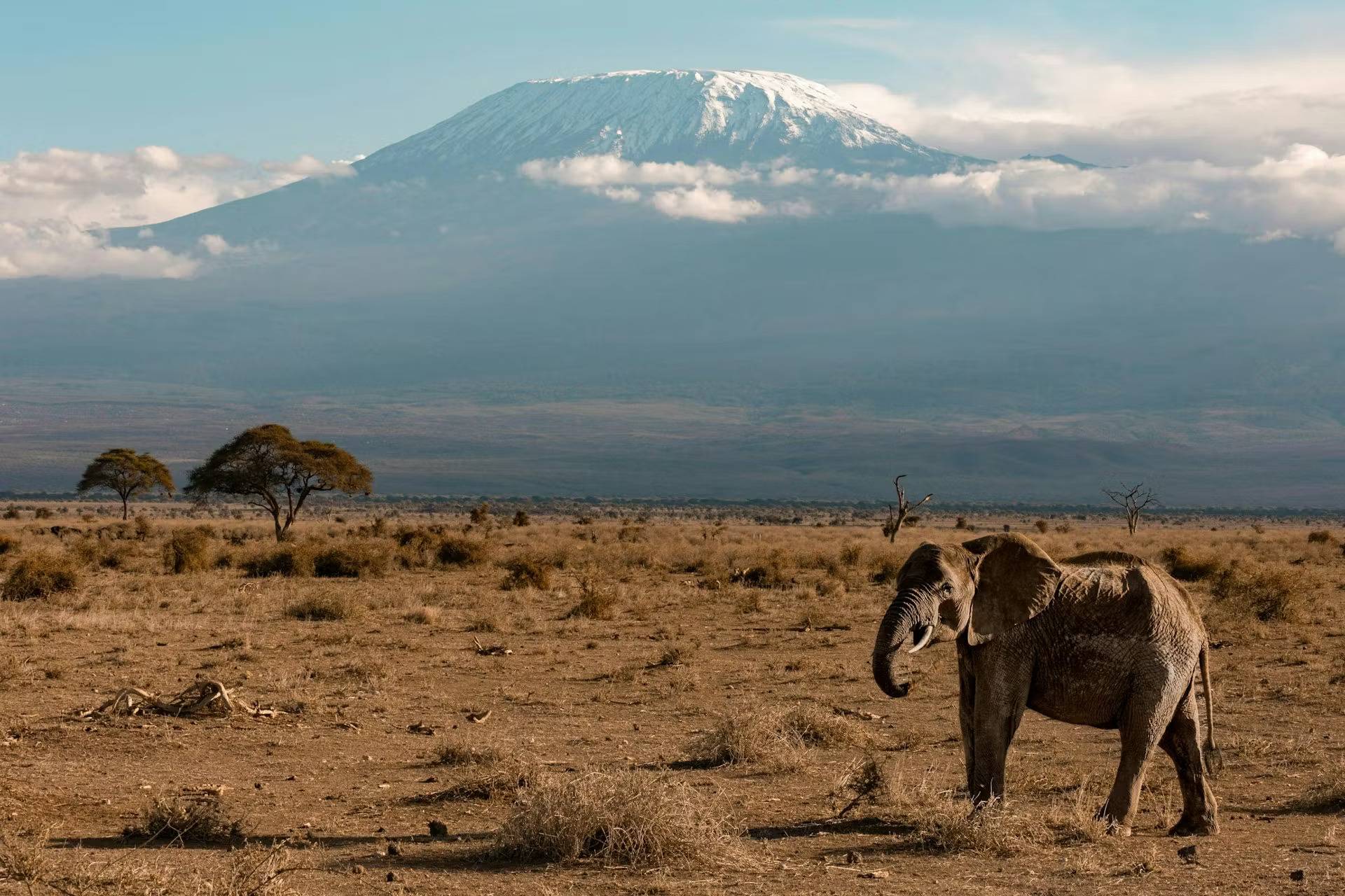 luxury climbing mount kilimanjaro