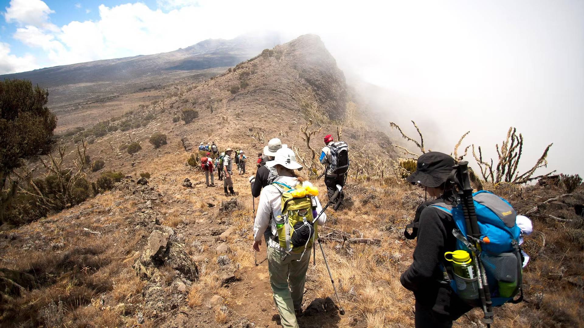 Kilimanjaro trekking packages
