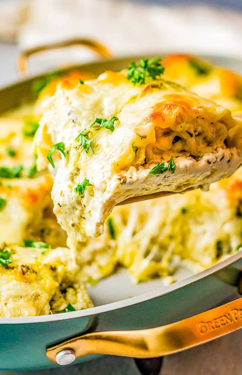 White Chicken Lasagna Roll Ups
