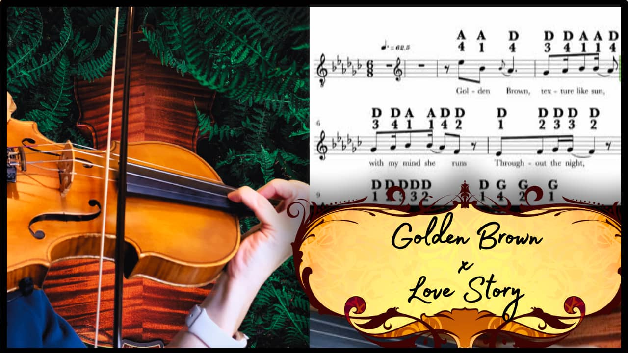 Premium Violin Practise Packages to Purchase