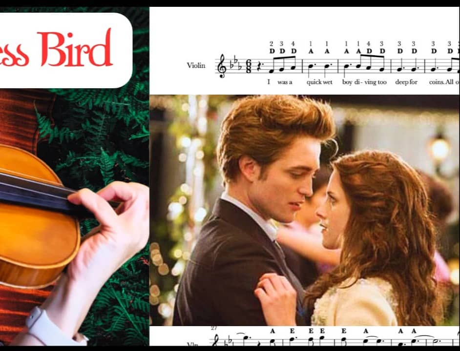 Flightless Bird Violin Sheet Music