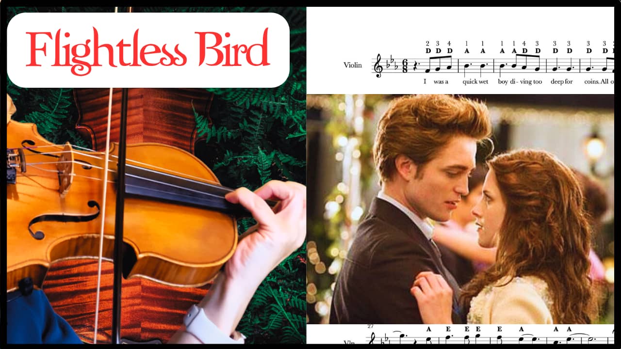 Flightless Bird Violin Sheet Music