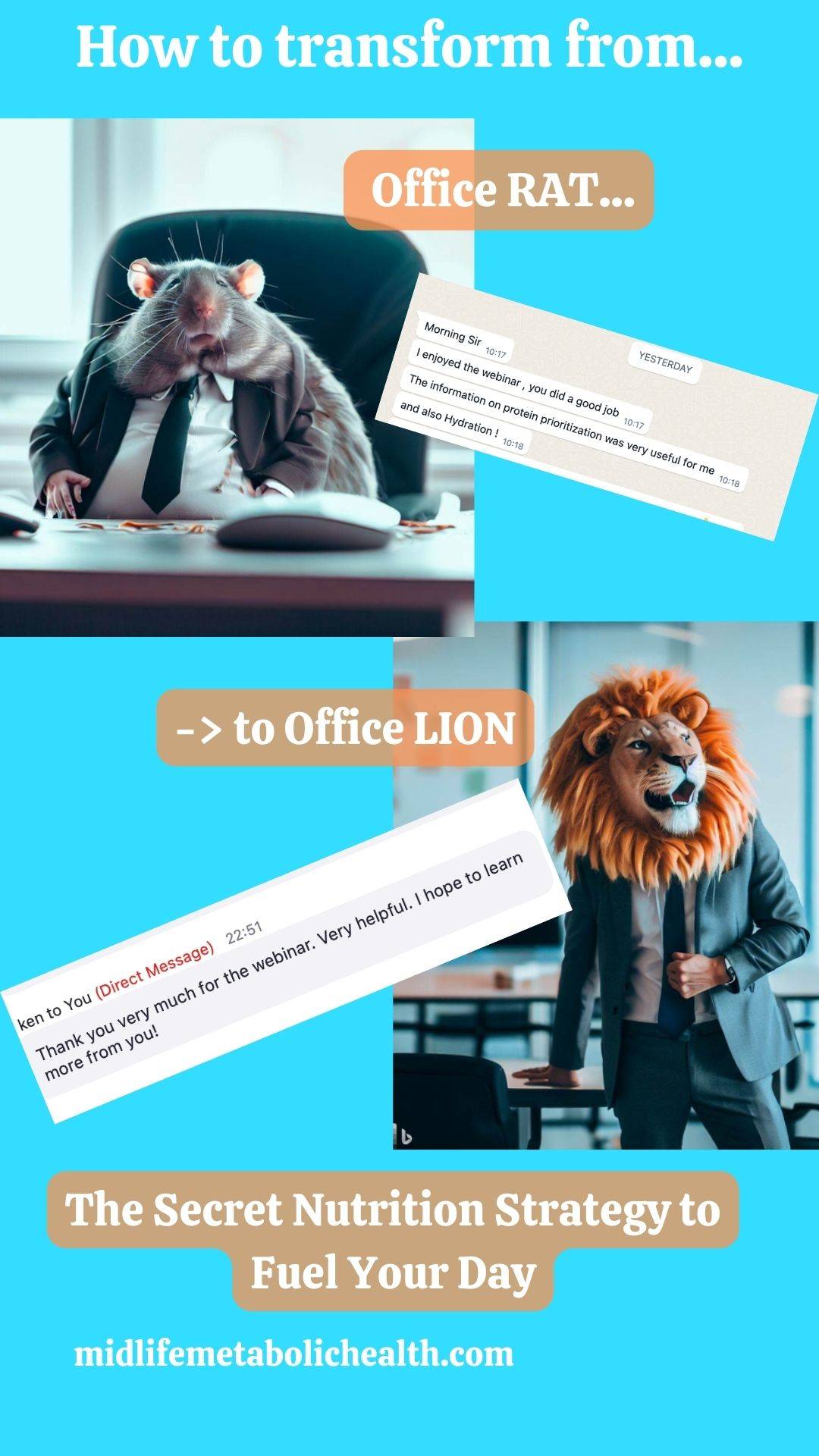 The Secret Nutrition Strategy to Fuel Your Day: Transform from Office Rat to Office Lion (45 minute webinar)