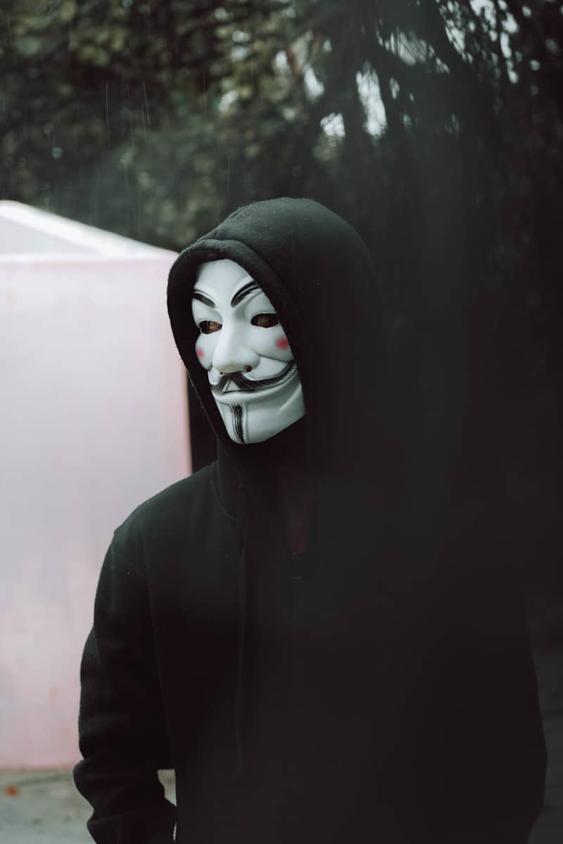 Person wearing a guy fawkes mask and black hoodie.