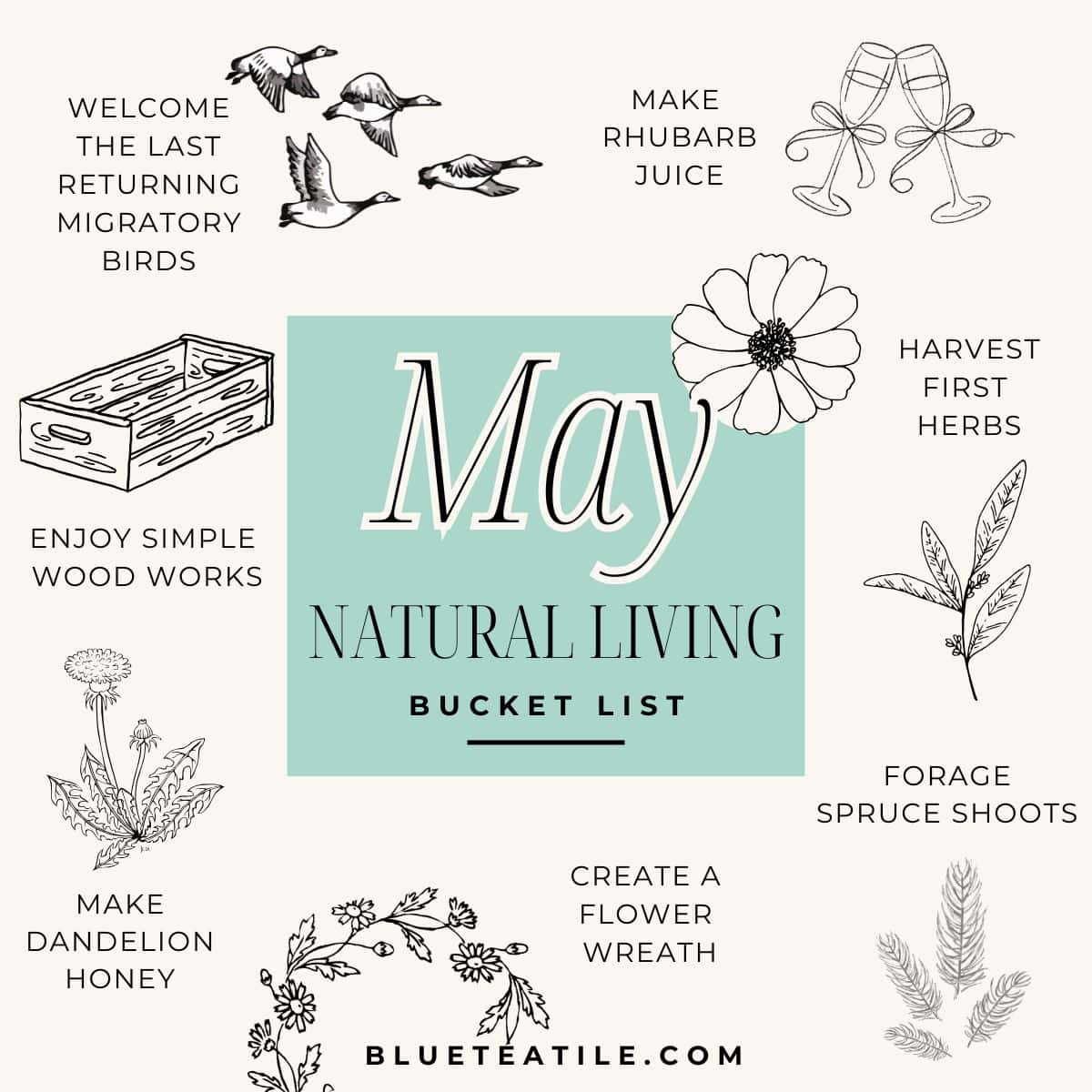 May bucket list ideas for slow, natural living—enjoy early summer with foraging, herbal teas, rhubarb recipes, and simple seasonal rituals.