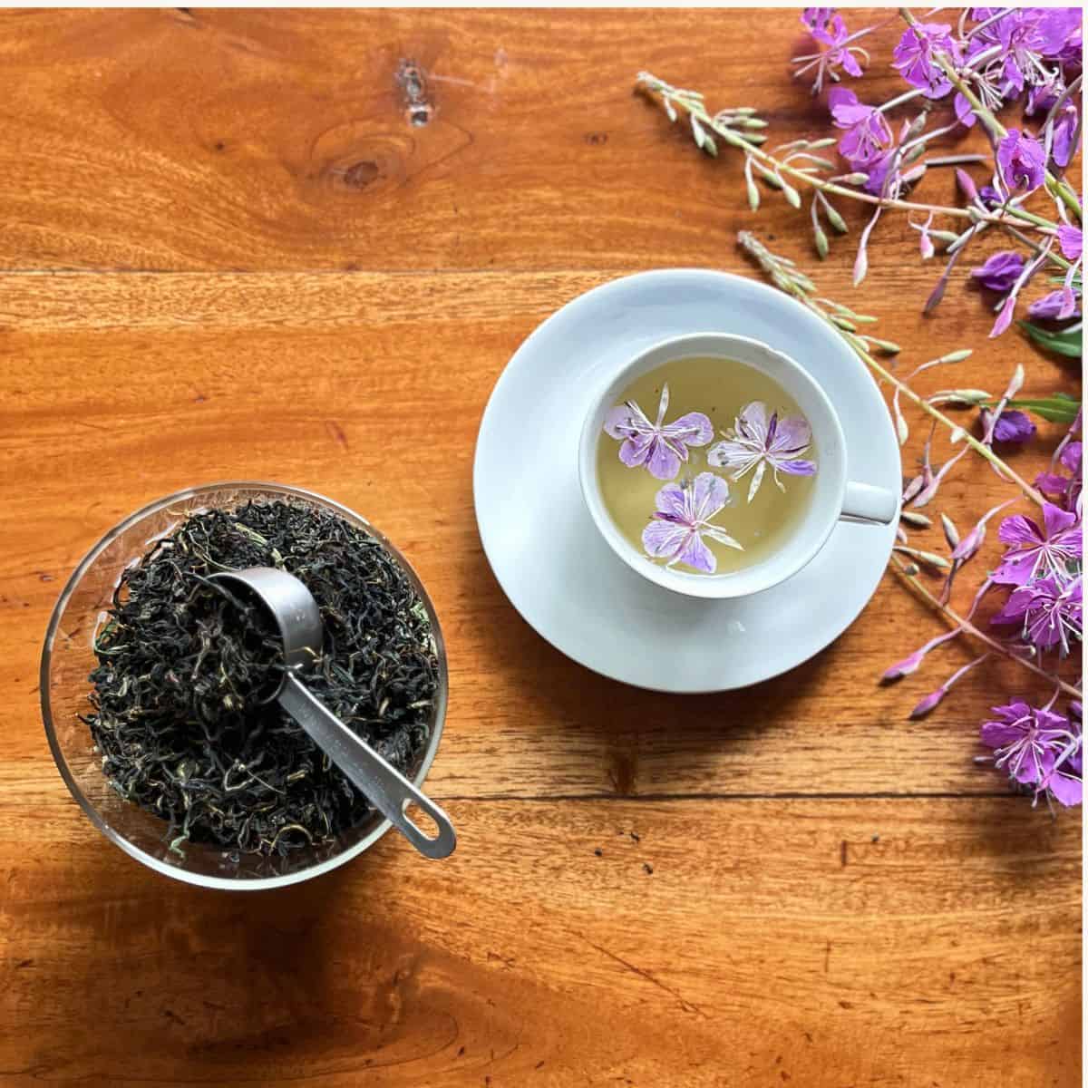 Cup of Ivan Chai tea with the homemade fermented fireweed loose-leaf tea in a jar. 