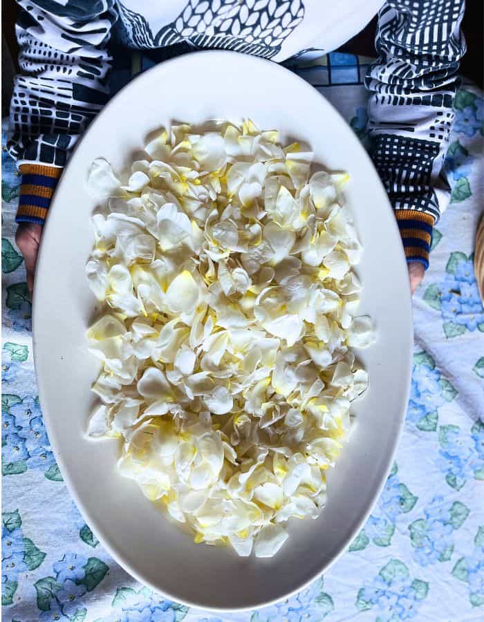 A youngg girl holding a white plate with white rose petals to dry for flower tea