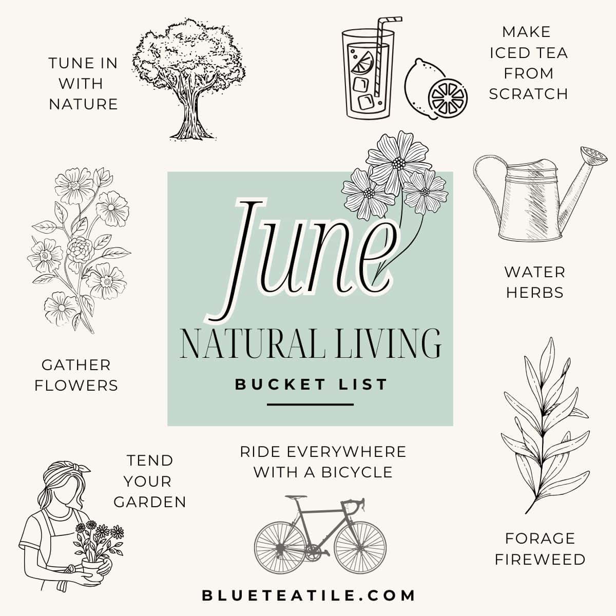 A bucket list for June with foraging fireweed, gathering flowers and biking