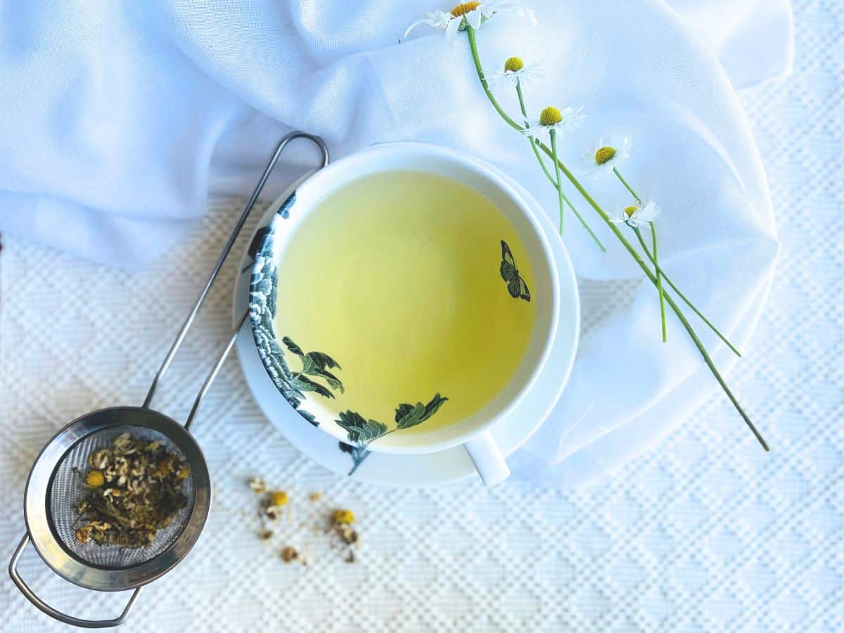 A sleep time tea in a teacup
