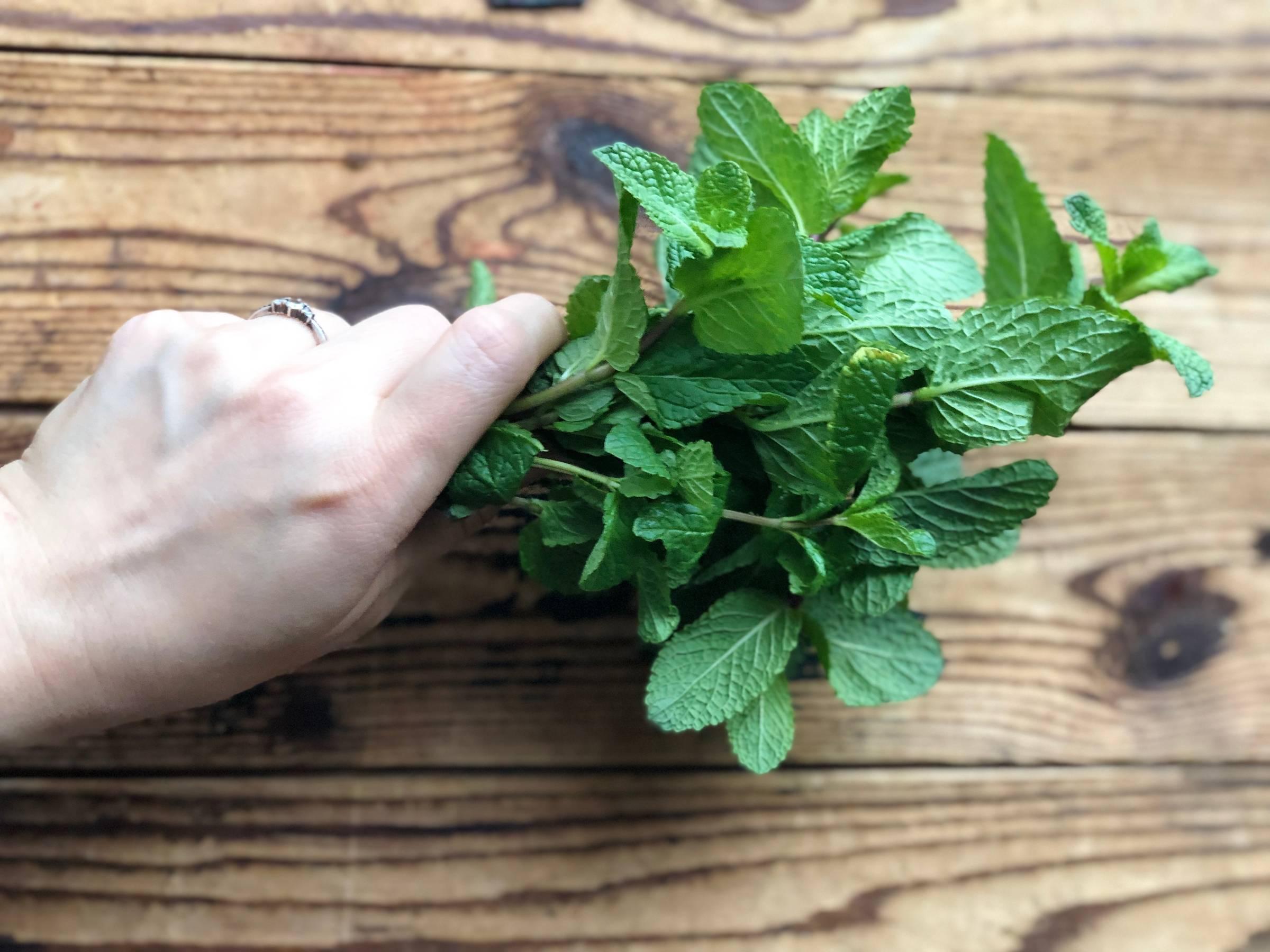 A woman holding mint bush in her hand agains wooden surface.