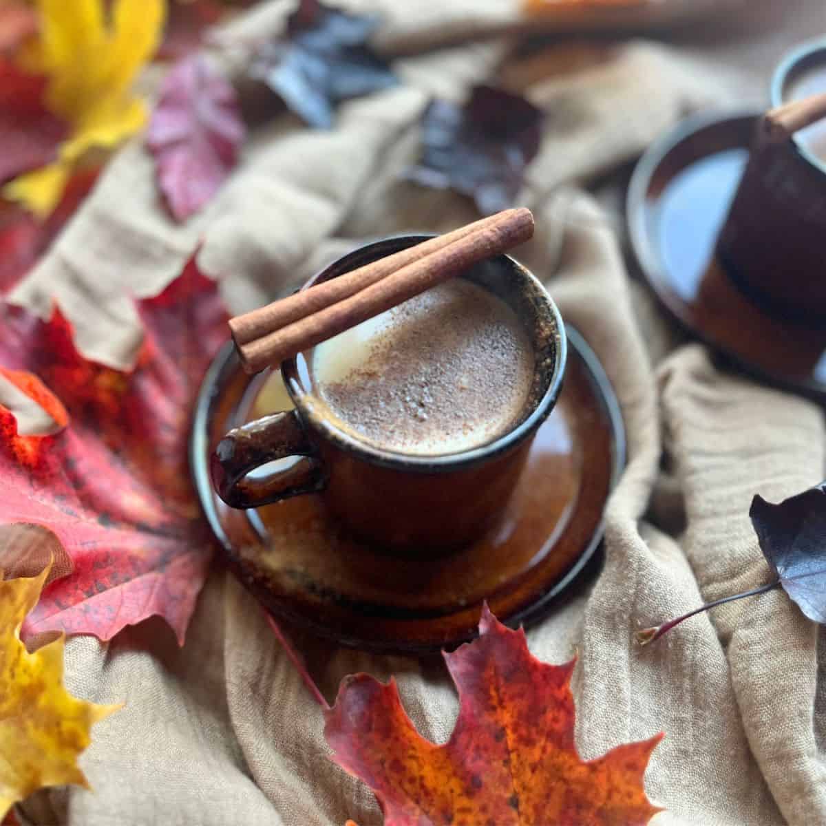 Rooibos chai latte in a brown mug with cinnamon powder on the top and a cinnamon stick. Around smoe autumn leaves with all the colours.