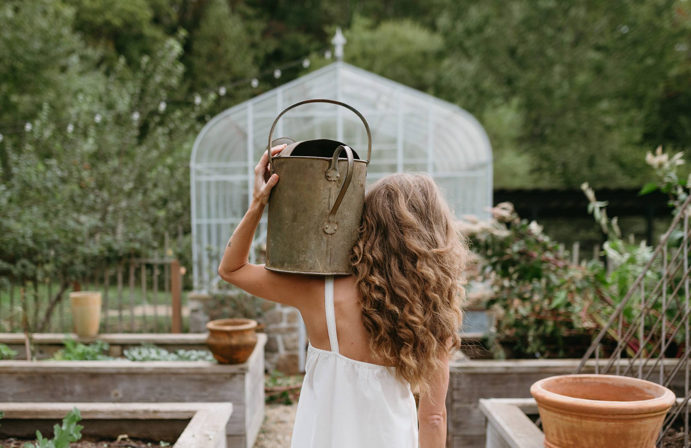 The Greenhouse
