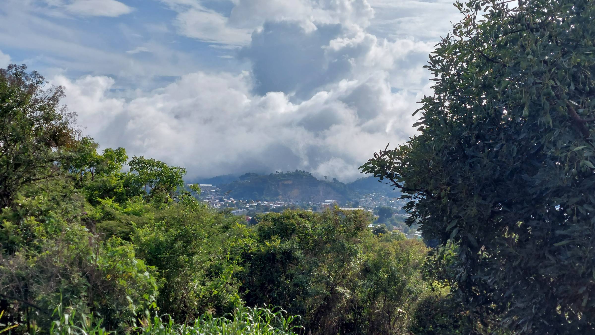 A mountainous area in Mexico, with lush green trees overlooking a valley and large clouds above.