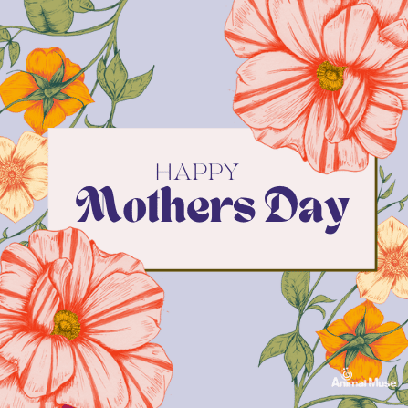 Happy Mother's Day